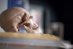 fot.Piotr Grzegorzewski